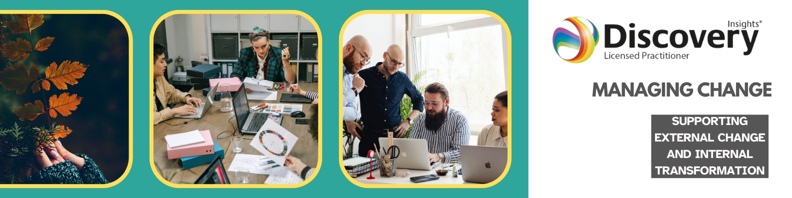 Insights Discovery Manage Change offering