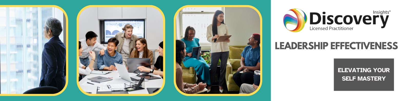 Insights Discovery Leadership Effectiveness offering